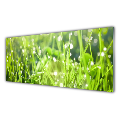 Konyhai falvédő panel Grass nature plant