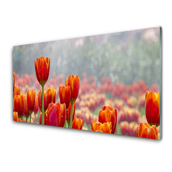 Konyhai panel Tulipán virágok plant
