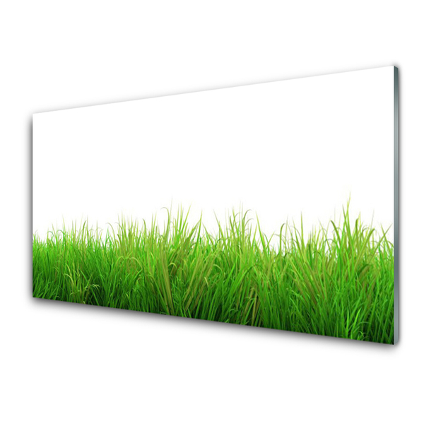 Konyhai panel Grass nature plant