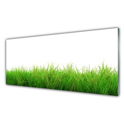 Konyhai panel Grass nature plant