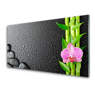 Konyhai panel Bamboo stem flower plant