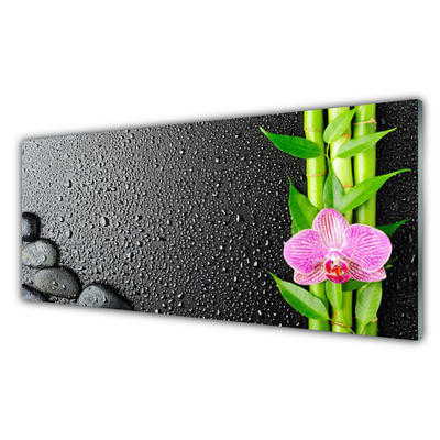 Konyhai panel Bamboo stem flower plant