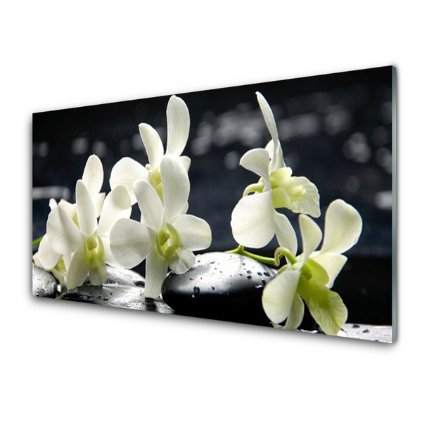 Konyhai fali panel Virág orchidea növény