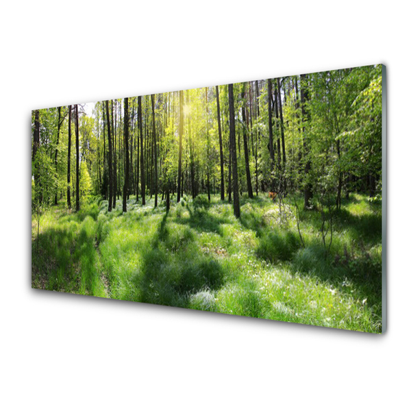 Konyhai panel Forest grass nature plant