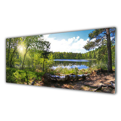 Konyhai üveg fali panel Lake forest fák nature