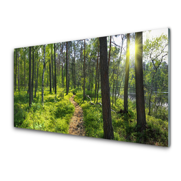 Konyhai dekor panel Forest path lane nature