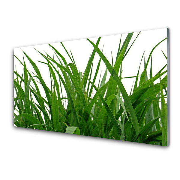 Konyhai falburkoló panel Grass nature plant