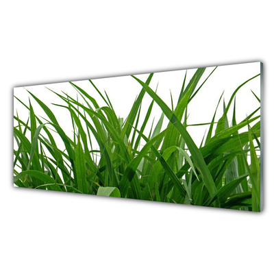 Konyhai falburkoló panel Grass nature plant