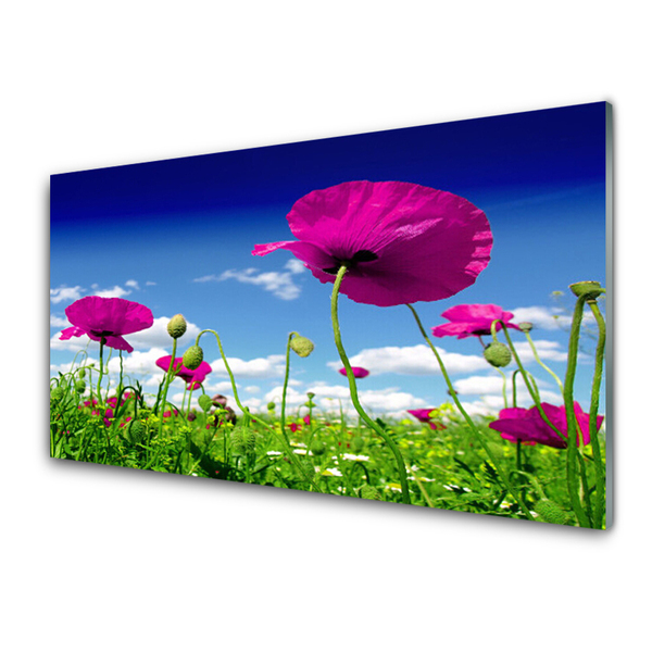 Konyhai panel Sky meadow flowers nature