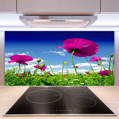 Konyhai panel Sky meadow flowers nature