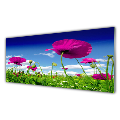 Konyhai panel Sky meadow flowers nature