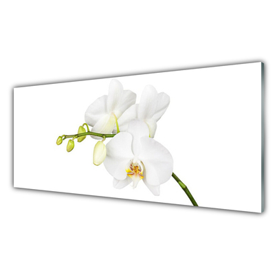 Konyhai panel Orchidea virágok természet