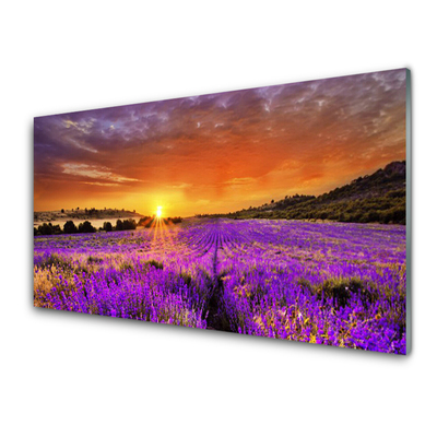 Konyhai falvédő panel Sunset lavender field