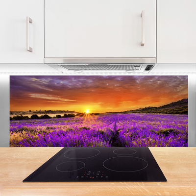 Konyhai falvédő panel Sunset lavender field