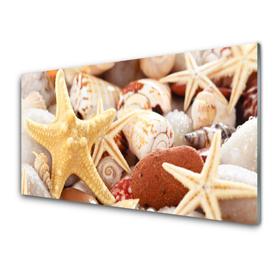 Konyhai fali panel Starfish shells beach