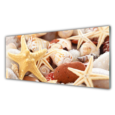 Konyhai fali panel Starfish shells beach