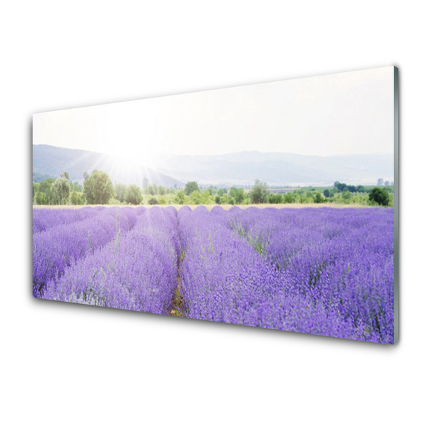 Konyhai falburkoló panel Lavender field mező természet