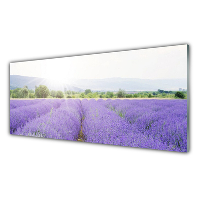 Konyhai falburkoló panel Lavender field mező természet