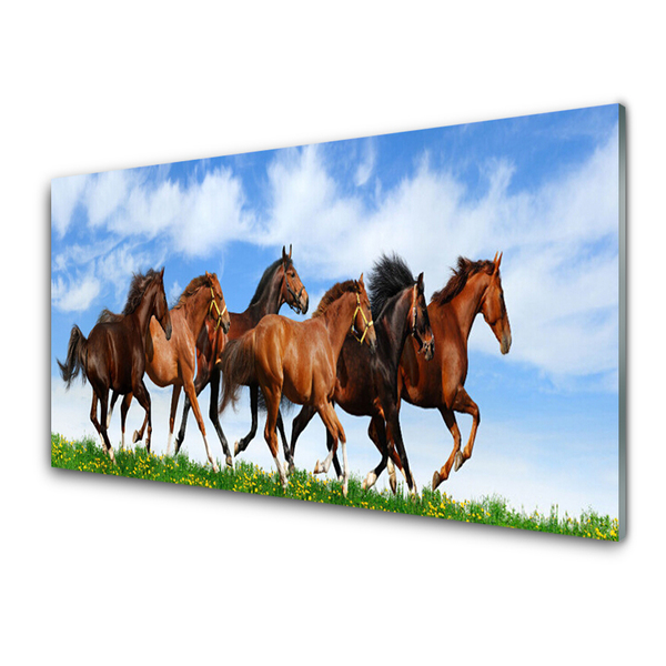 Konyhai dekor panel Vágtázó lovak legelő