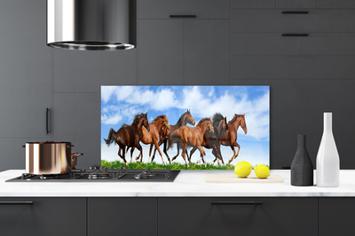 Konyhai dekor panel Vágtázó lovak legelő