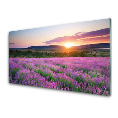 Konyhai falburkoló panel West meadow lavender fields