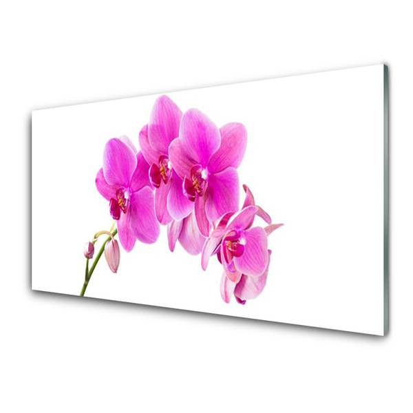 Konyhai panel Orchidea virág orchidea