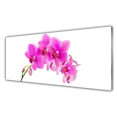 Konyhai panel Orchidea virág orchidea