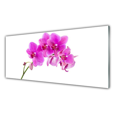Konyhai falburkoló panel Orchidea virág orchidea