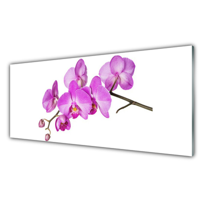 Konyhai üveg fali panel Orchidea orchidea virág
