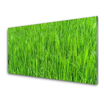 Konyhai panel Nature green grass turf