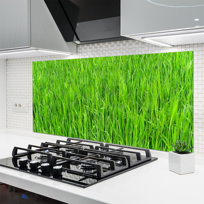 Konyhai panel Nature green grass turf