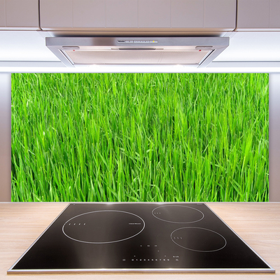 Konyhai panel Nature green grass turf