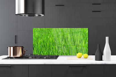 Konyhai panel Nature green grass turf