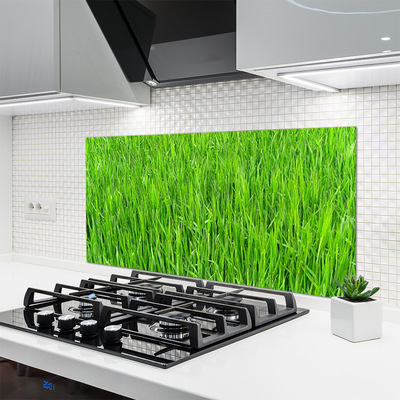 Konyhai panel Nature green grass turf