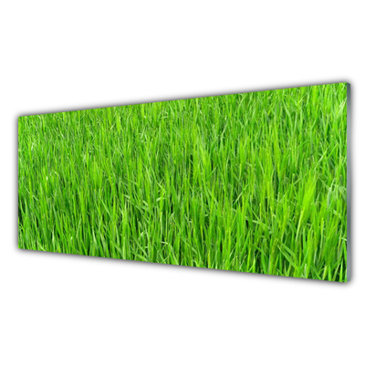 Konyhai panel Nature green grass turf