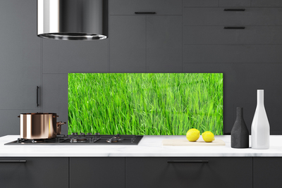 Konyhai panel Nature green grass turf