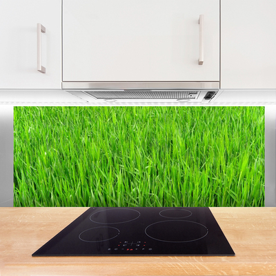 Konyhai panel Nature green grass turf