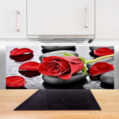 Konyhai panel Red rose virág