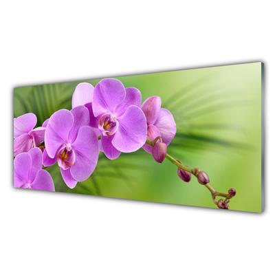 Konyhai fali panel Orchidea orchidea virág