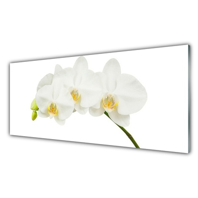 Konyhai falvédő panel Rügyek orchidea virágok természet