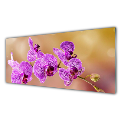 Konyhai panel Rügyek orchidea virágok természet