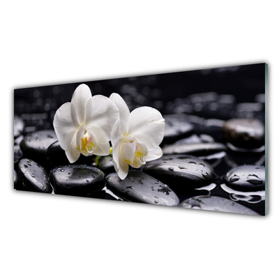 Konyhai panel Zen white orchid spa