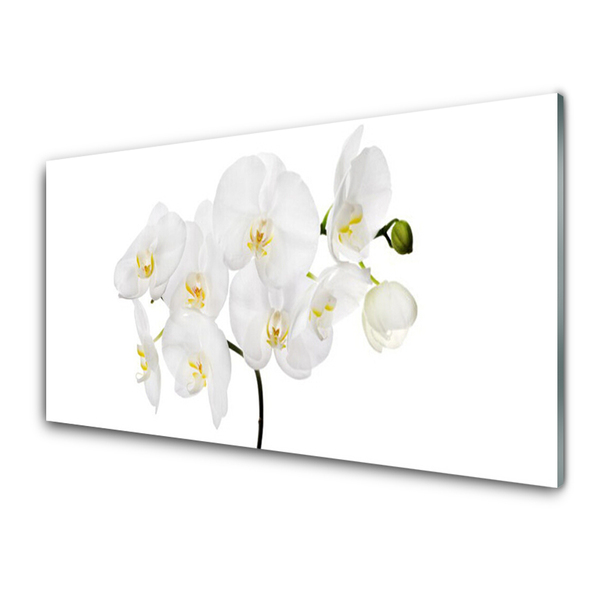Konyhai hátfal panel Fehér orchidea virág