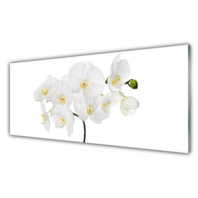 Konyhai hátfal panel Fehér orchidea virág
