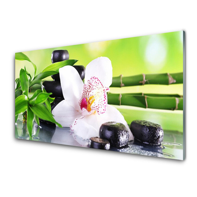 Konyhai falvédő panel Orchid bambusz levelek