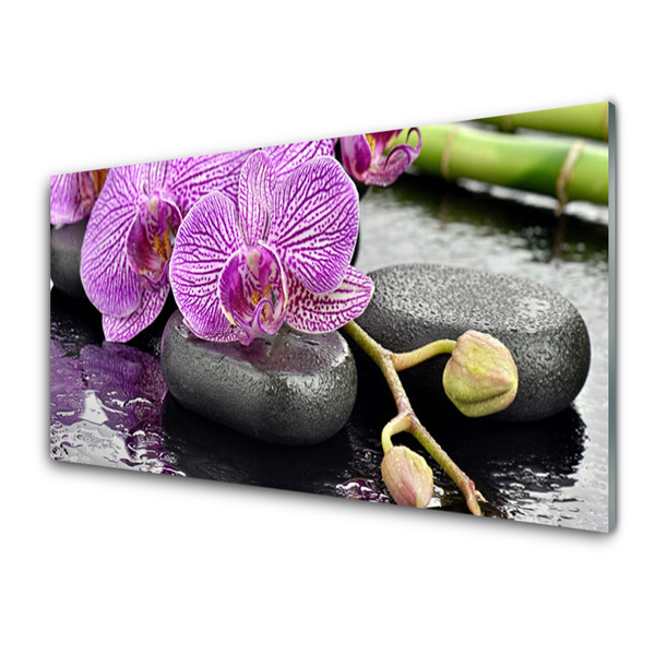 Konyhai hátfal panel Orchidea orchidea zen spa