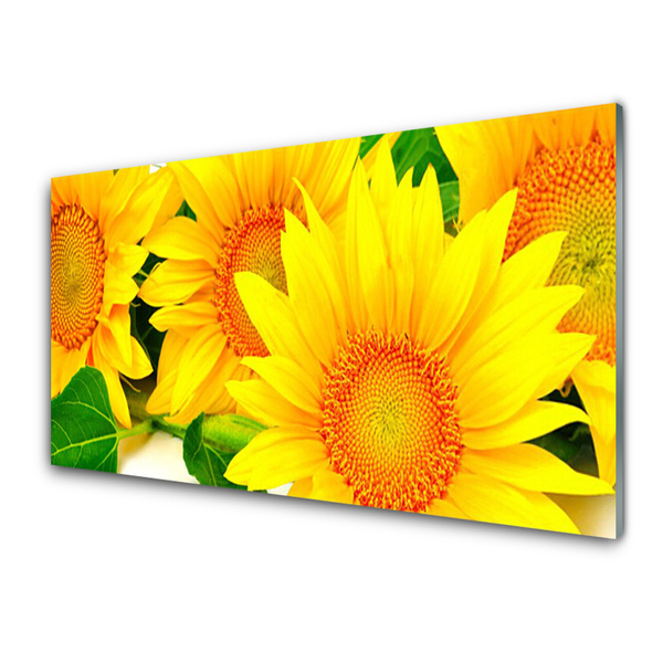 Konyhai falvédő panel Napraforgó virág természet