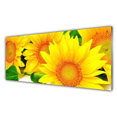 Konyhai falvédő panel Napraforgó virág természet