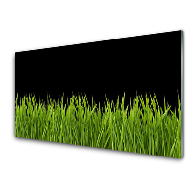 Konyhai üveg fali panel Green grass nature