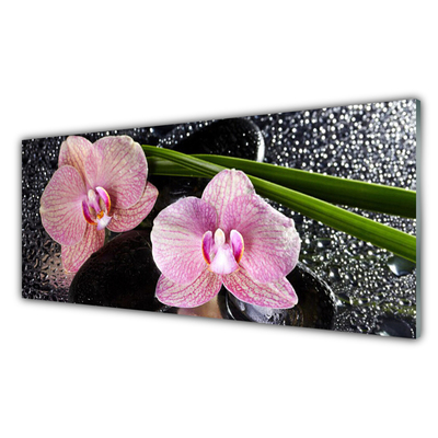 Konyhai üveg panel Orchidea virág orchidea zen